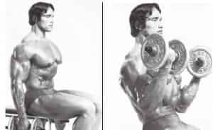 Curl con manubri per bicipiti Curl con manubri per bicipiti