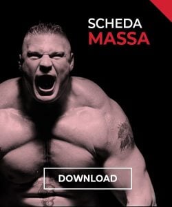 massa massa