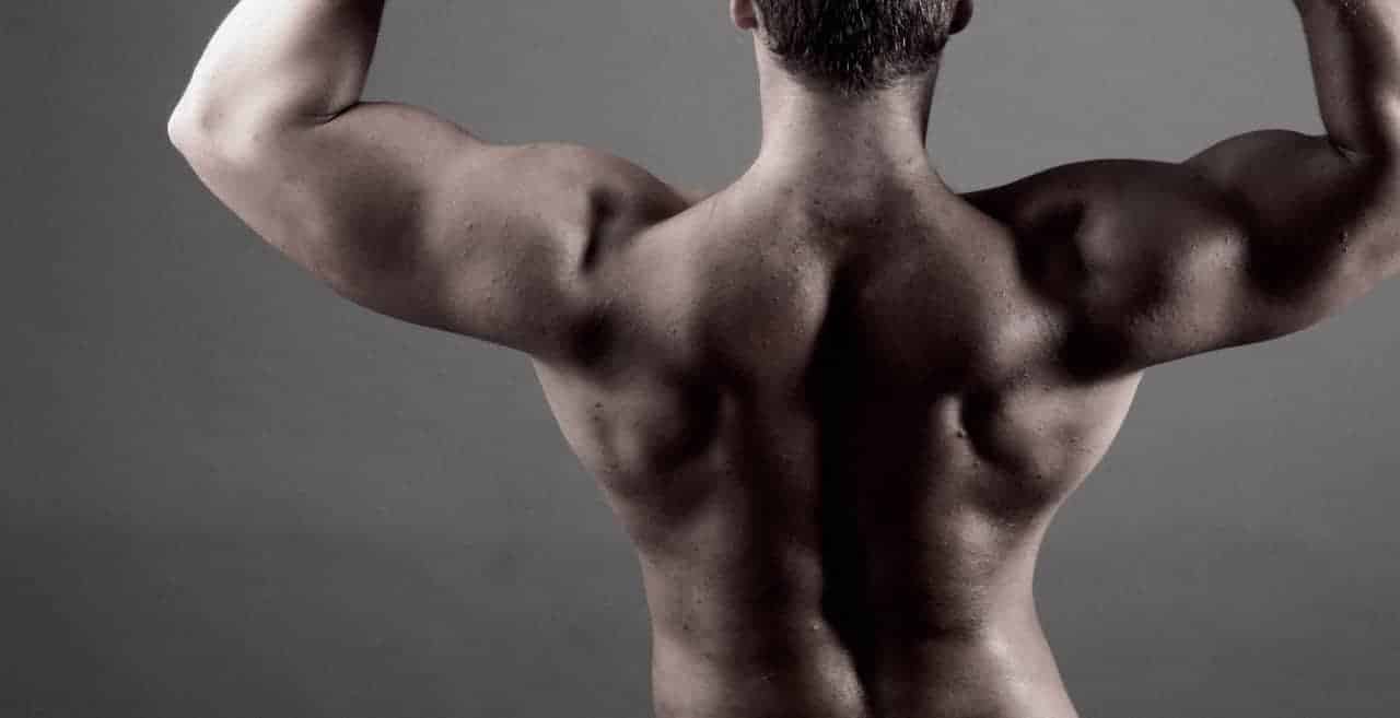 Allenamento spalle: il trapezio