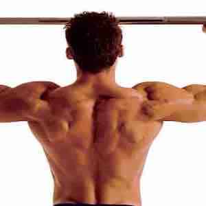 Muscoli dorsali: esercizi fondamentali