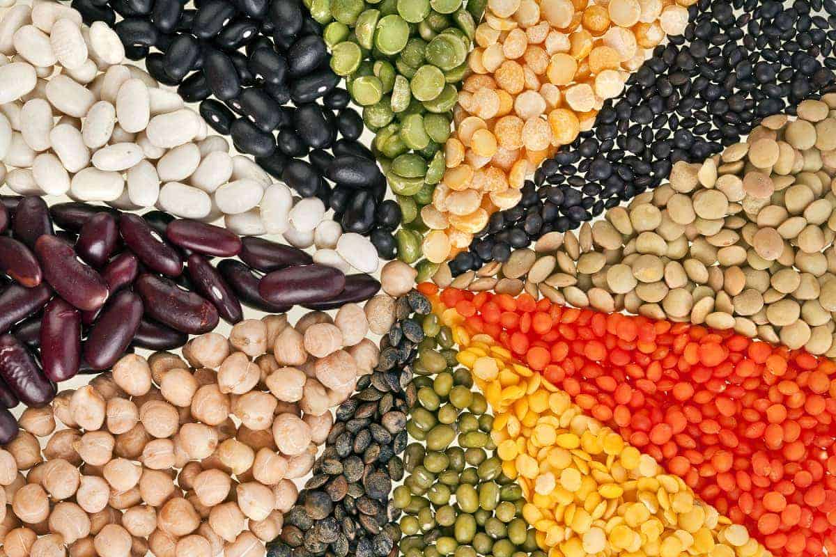 Proteine vegetali: la soia