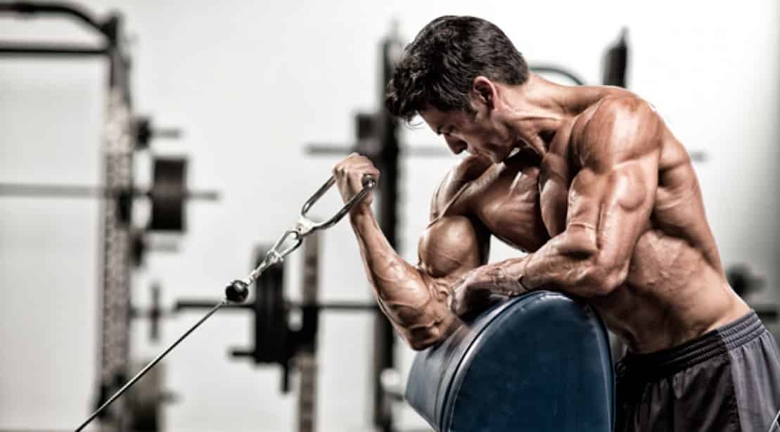 Preacher curl ai cavi