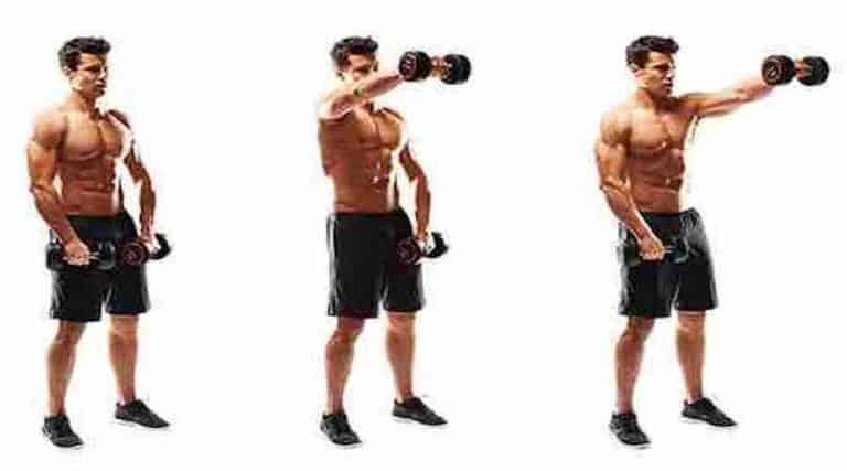 alzate frontali con manubri per deltoidi al top superpalestra alzate frontali con manubri per deltoidi al top superpalestra