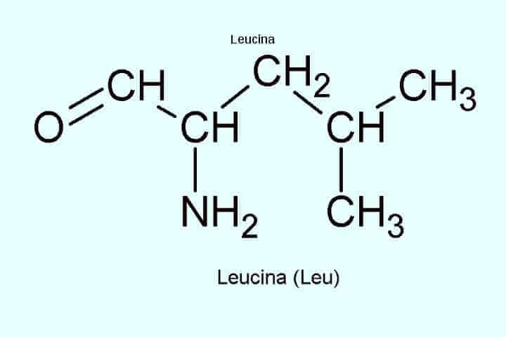 Leucina