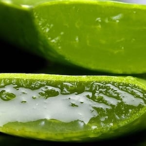 Aloe Vera: benefici e controindicazioni