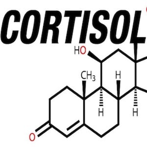 Cortisolo: ormone dello stress psico-fisico