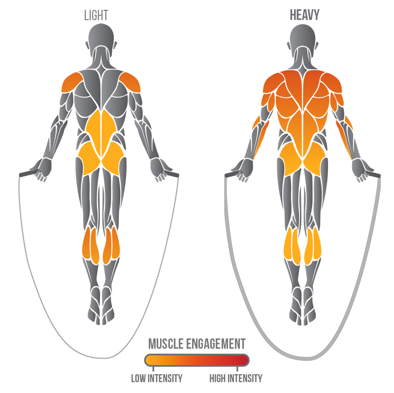 muscoli coinvolti nel salto della corda con heavy jump rope